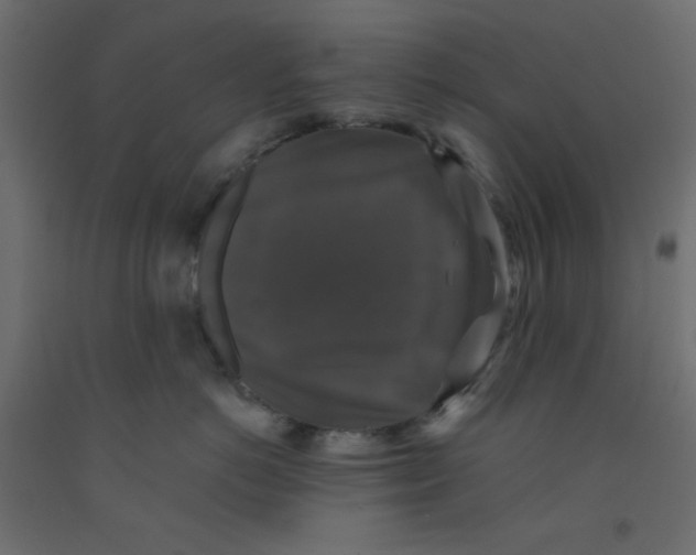 X0000092320766200710121522
