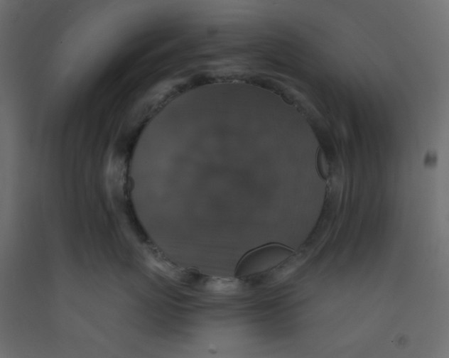 X0000092320767200710121522