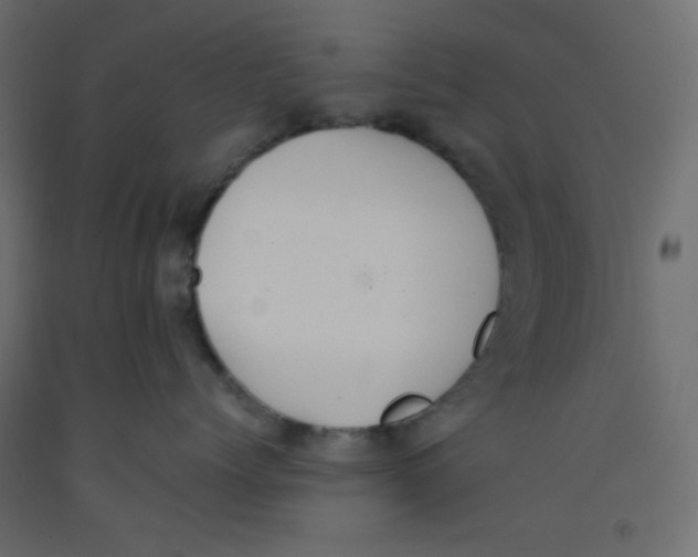 X0000092320768200710121522