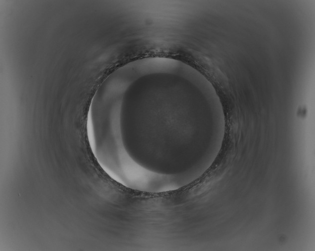 X0000092320769200710121521