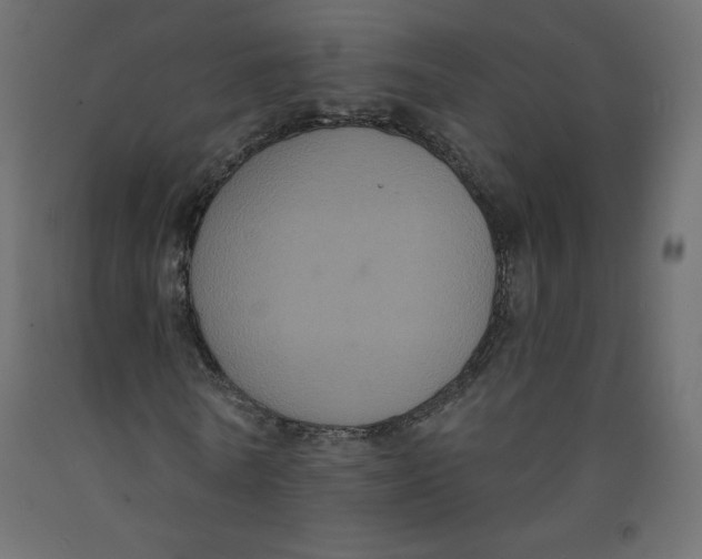X0000092320770200710121521