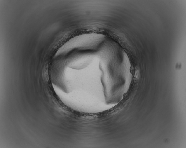 X0000092320771200710121521