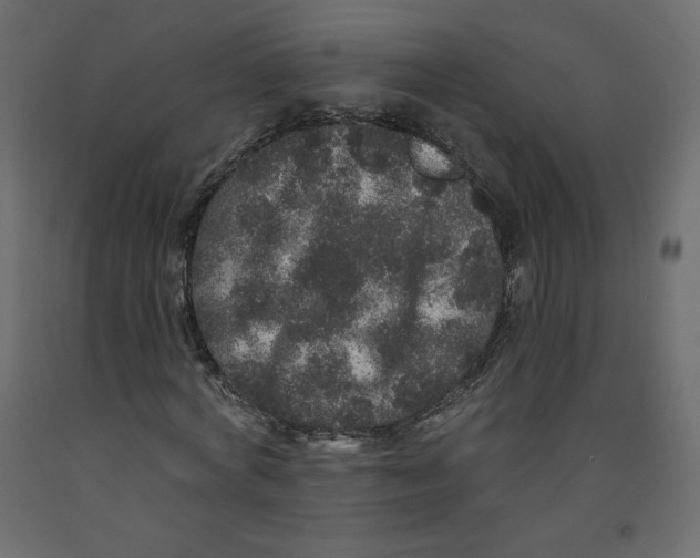 X0000092320772200710121521