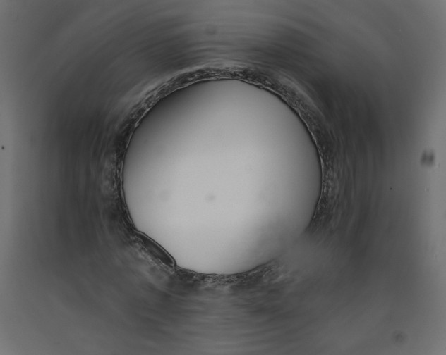 X0000092320773200710121521