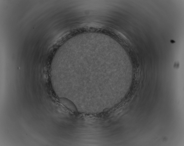 X0000092320774200710121521