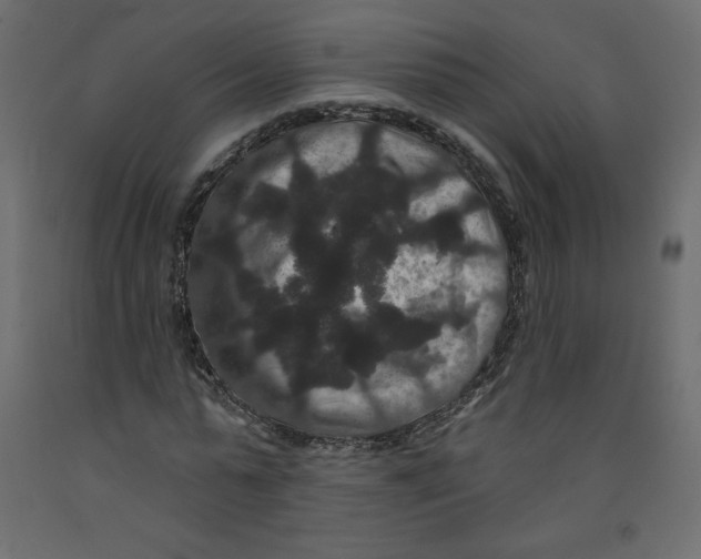 X0000092320775200710121521