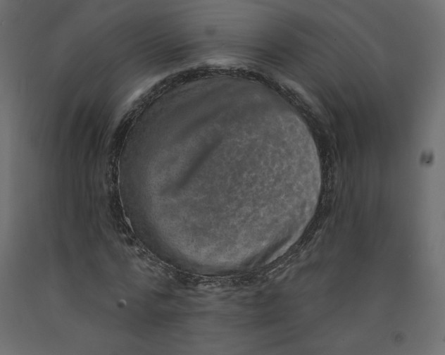 X0000092320776200710121521