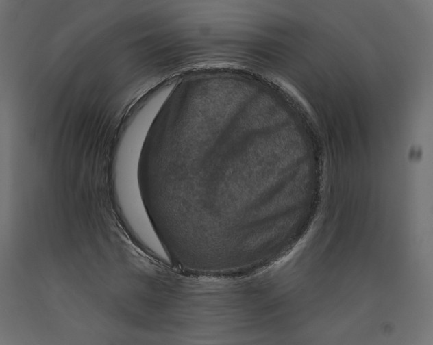 X0000092320777200710121521