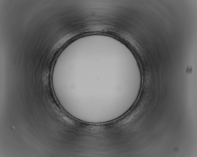X0000092320778200710121521