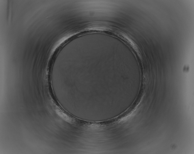 X0000092320779200710121521