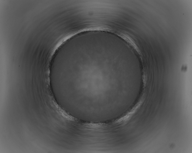 X0000092320781200710121521