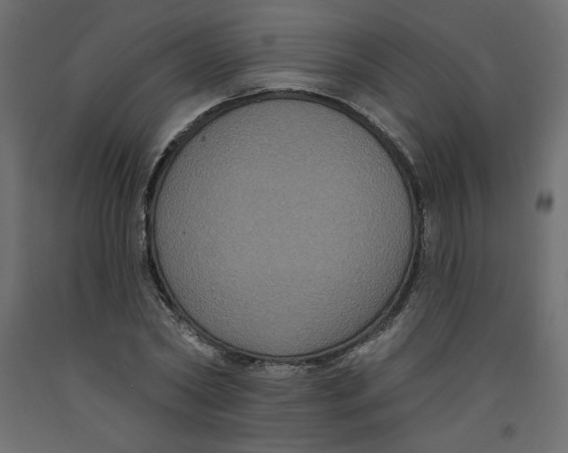 X0000092320782200710121521