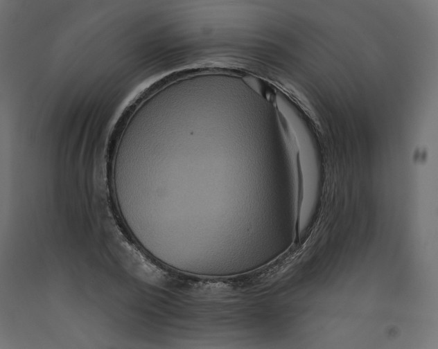 X0000092320784200710121521