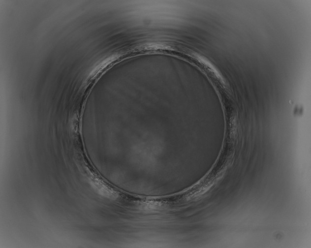 X0000092320785200710121521