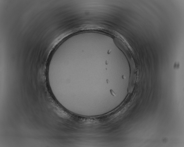 X0000092320786200710121521