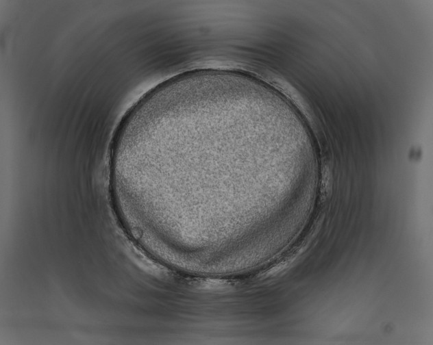 X0000092320787200710121521