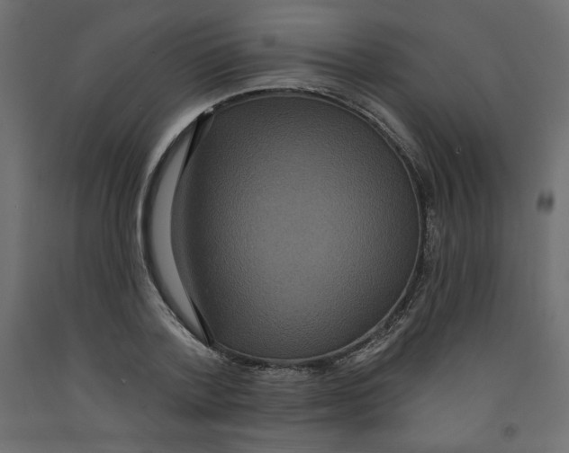 X0000092320788200710121521