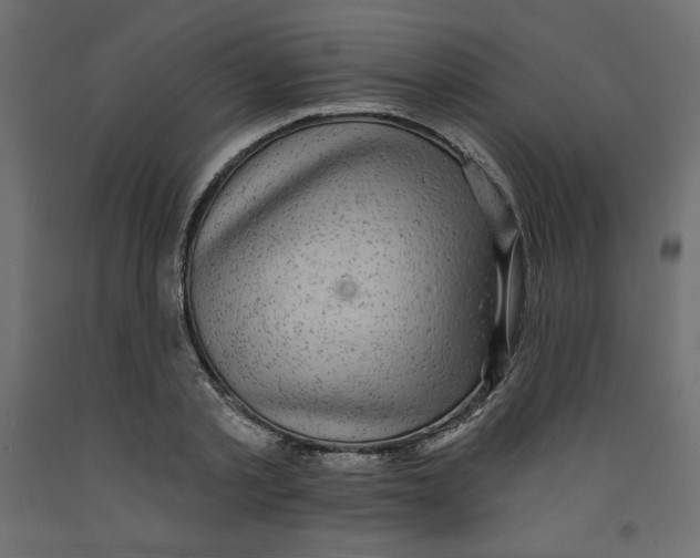X0000092320789200710121521
