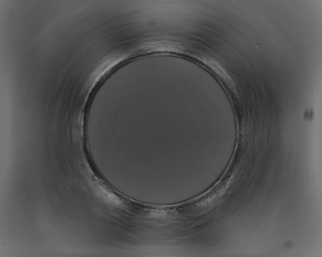 X0000092320790200710121521
