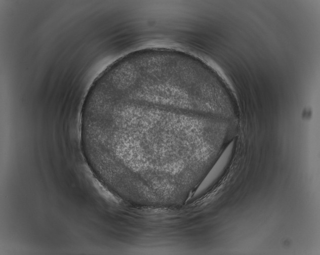 X0000092320791200710121521