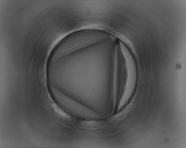 X0000092320792200710121521