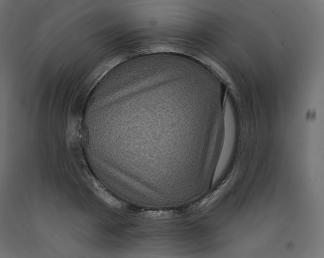 X0000092320793200710121521
