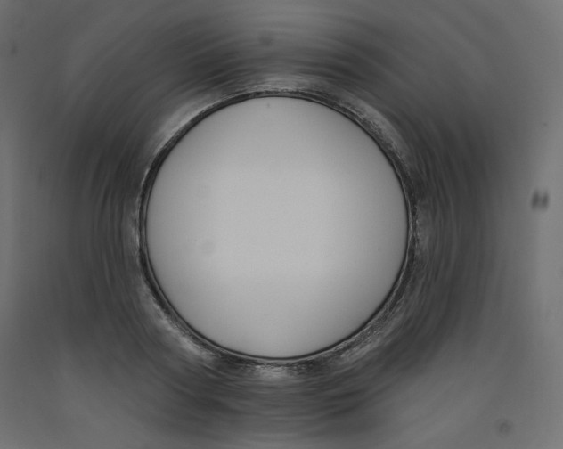 X0000092320794200710121521