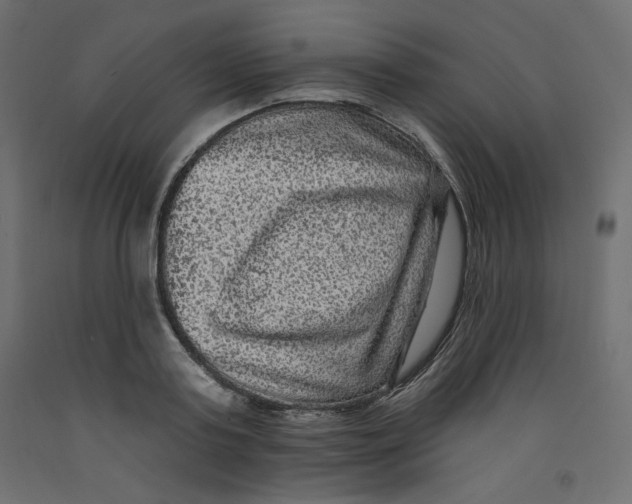 X0000092320795200710121521