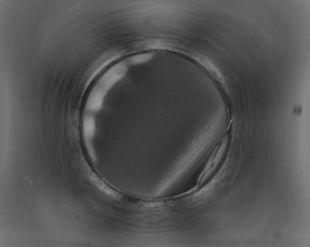 X0000092320798200710121521