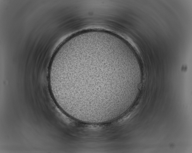 X0000092320799200710121521