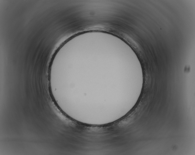 X0000092320800200710121521