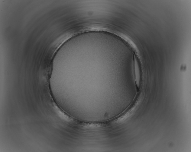 X0000092320801200710121521