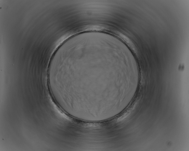 X0000092320802200710121521