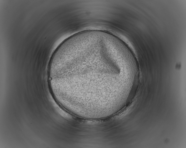 X0000092320803200710121521