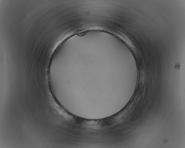 X0000092320806200710121521