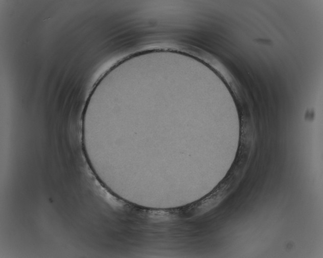 X0000092320807200710121521
