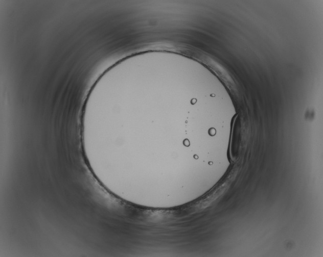 X0000092320808200710121521