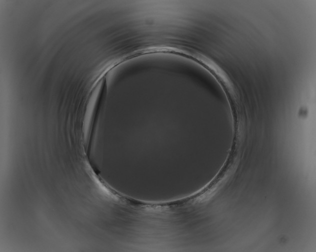 X0000092320809200710121521