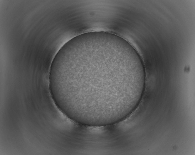 X0000092320810200710121521