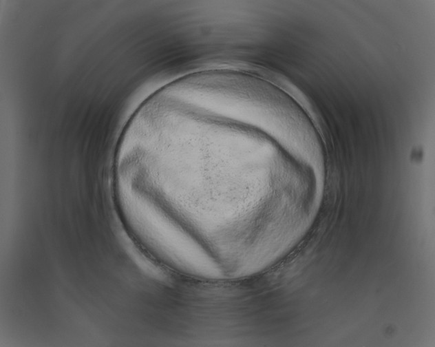 X0000092320811200710121521