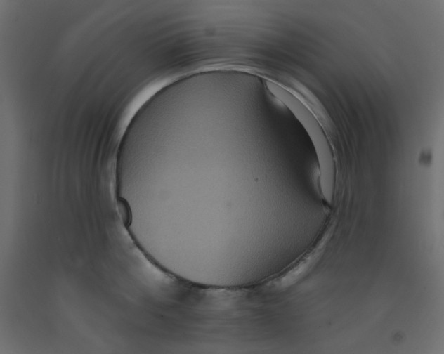 X0000092320812200710121521