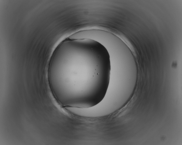 X0000092320813200710121521