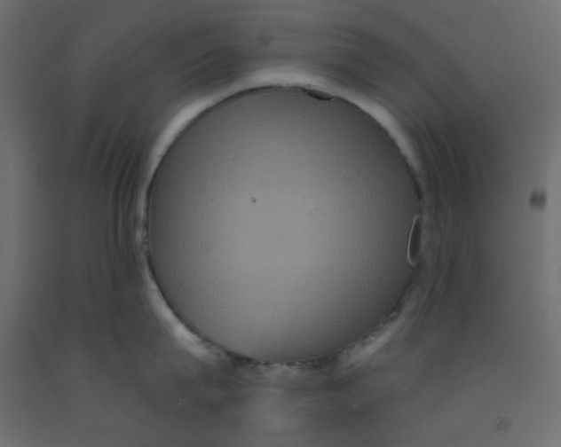X0000092320815200710121521