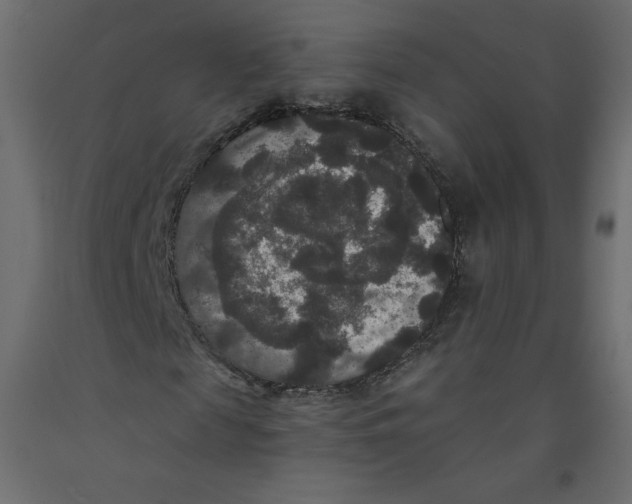 X0000092320817200710121520