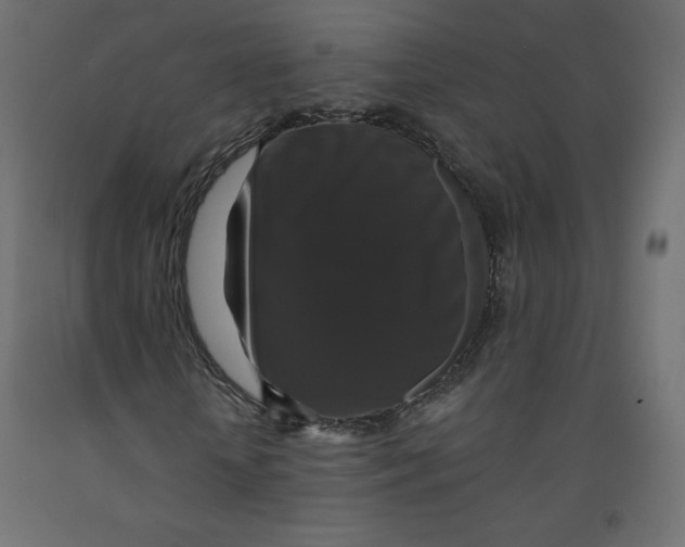 X0000092320818200710121520