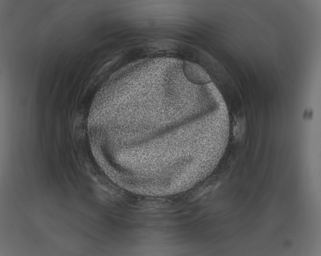 X0000092320819200710121520