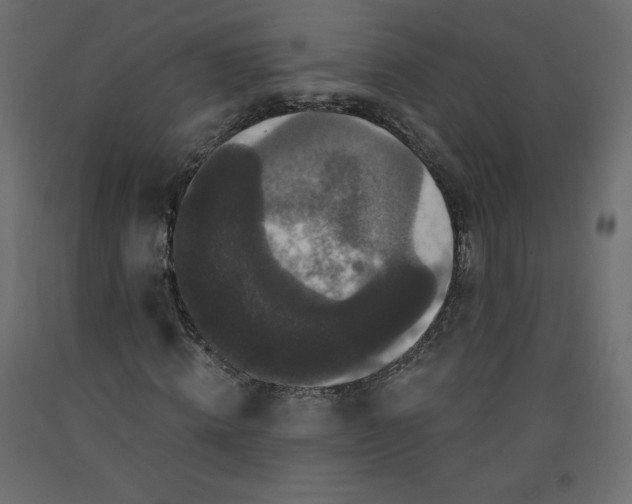 X0000092320820200710121520
