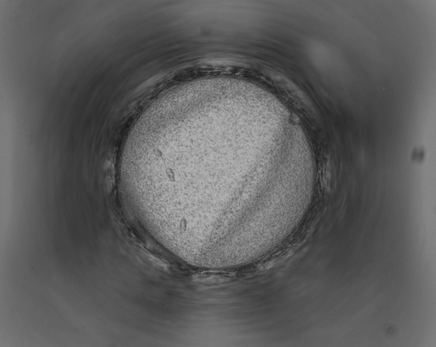 X0000092320821200710121520