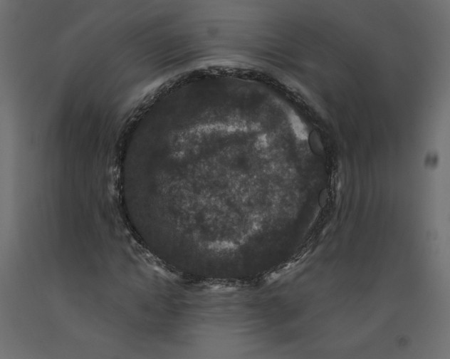 X0000092320822200710121520