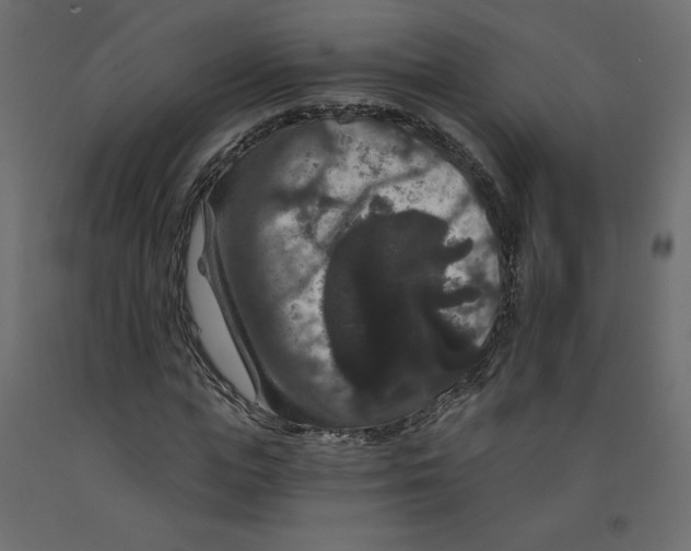 X0000092320823200710121520